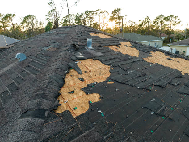 Best Slate Roofing  in Lackawanna, NY